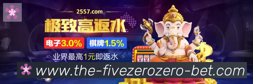 未来规划